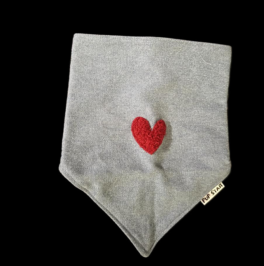 COLABORACION CON BANDANAS PUP STAR