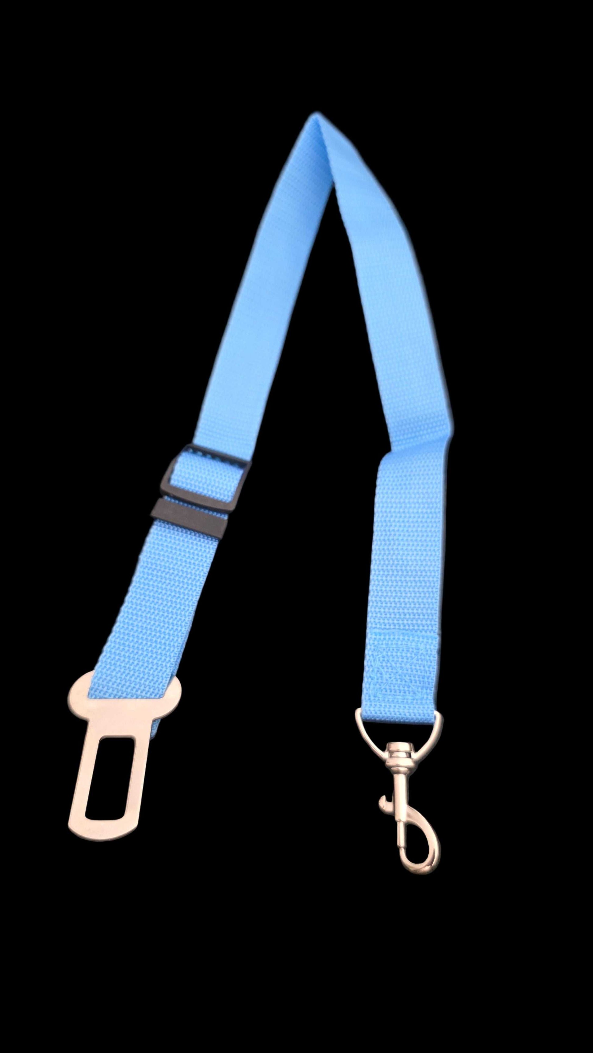 Cinturón de Seguridad