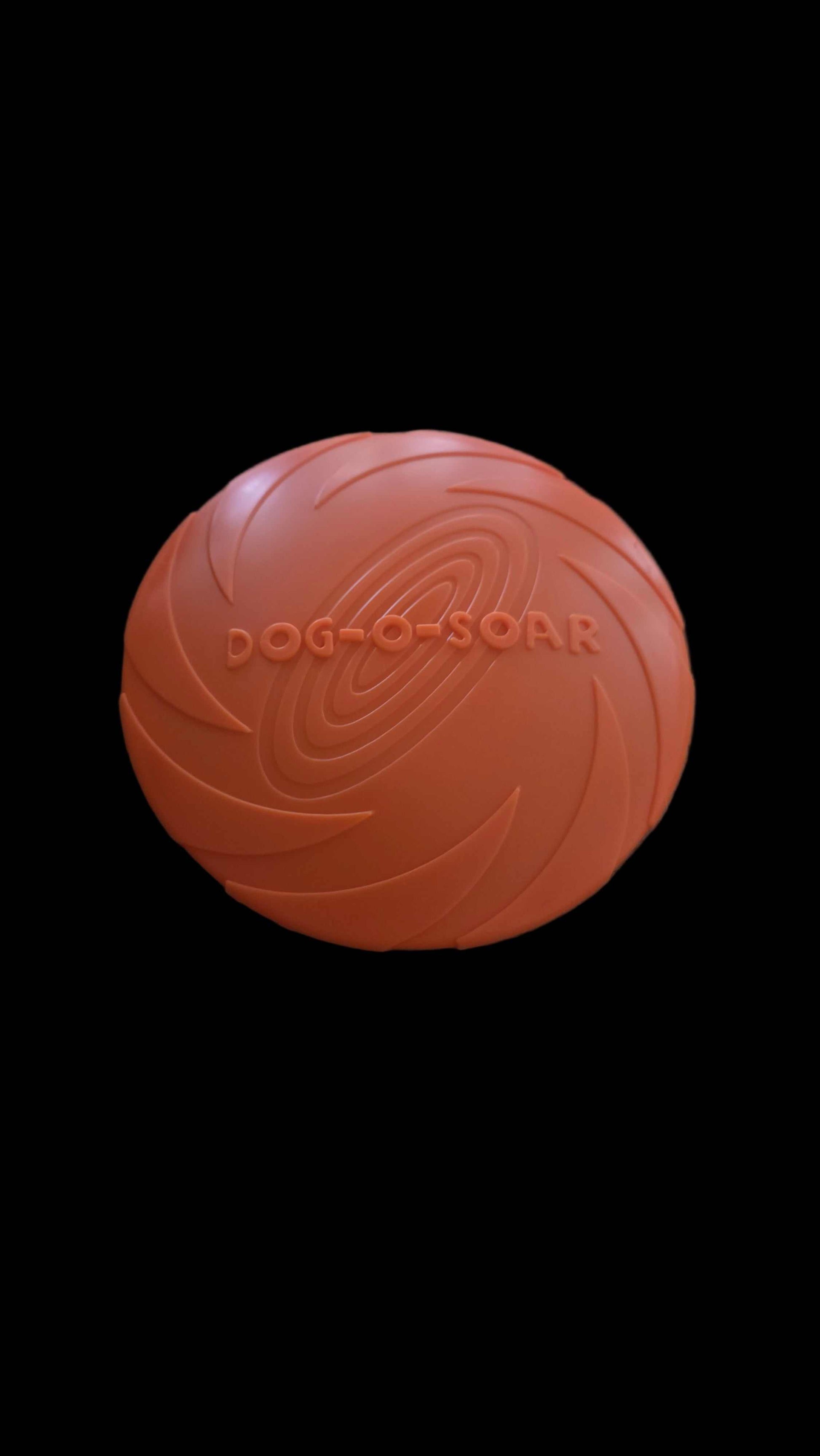 Frisbee