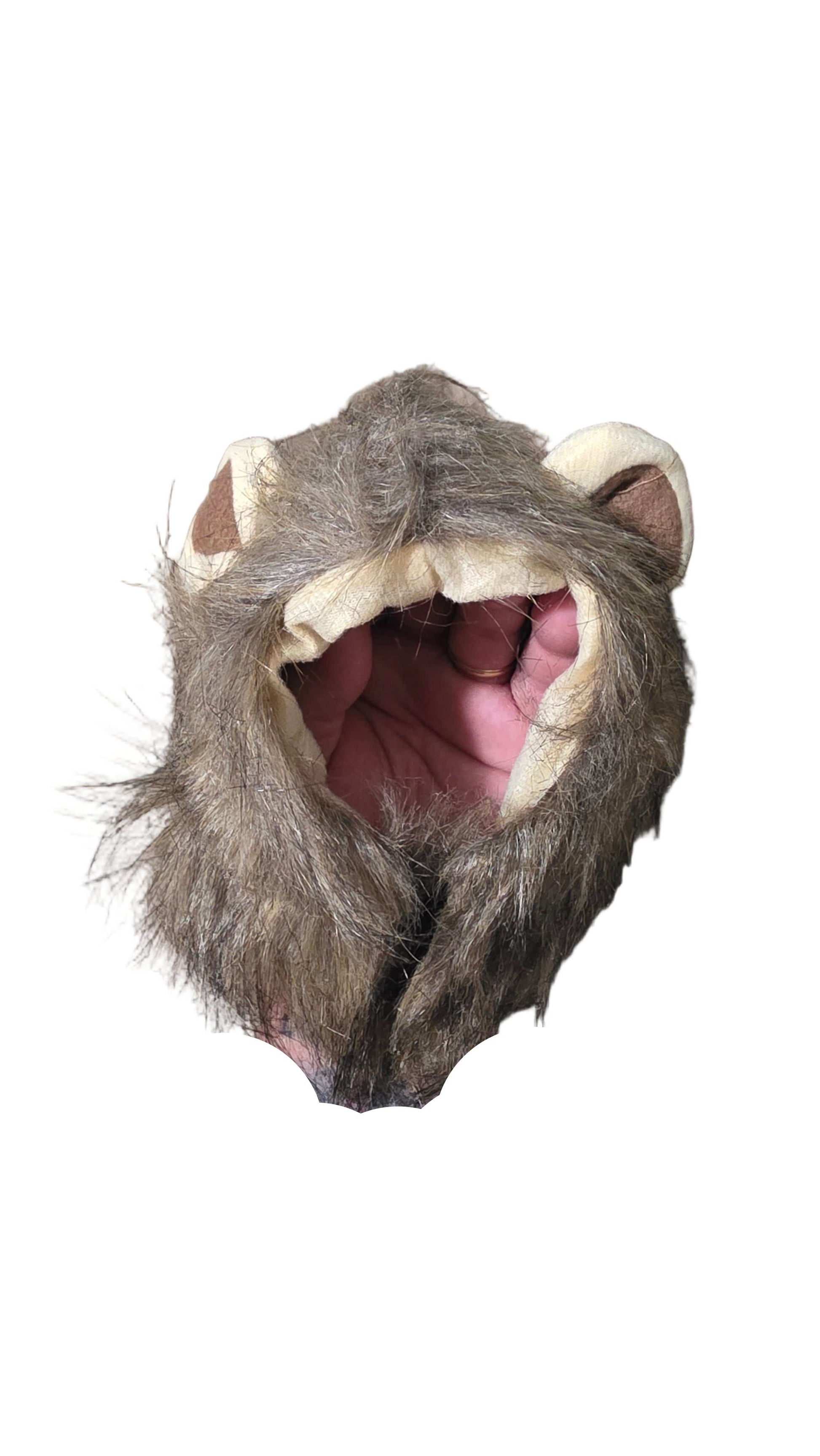 Gorro de gatos