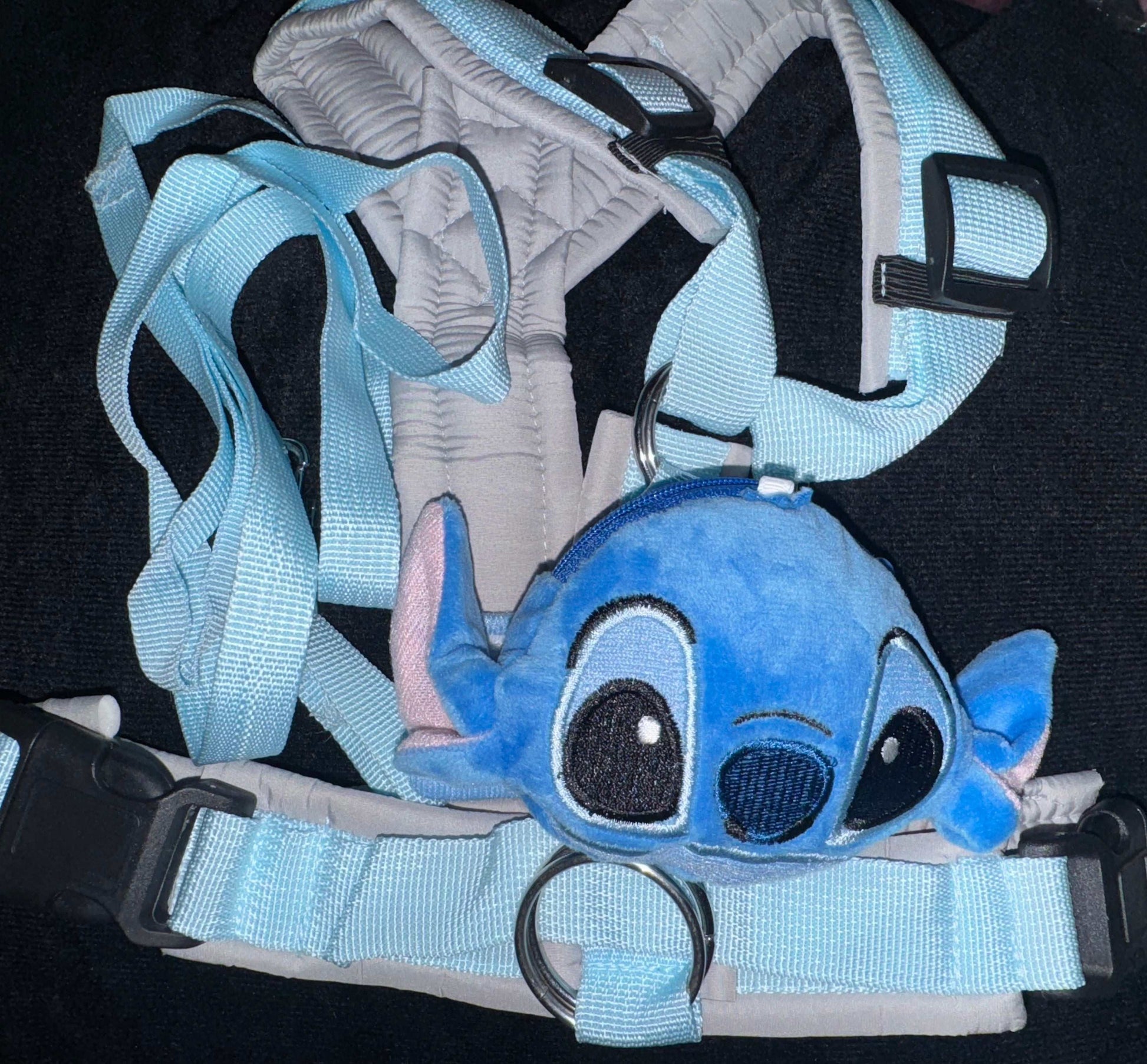 Arnes de Stich