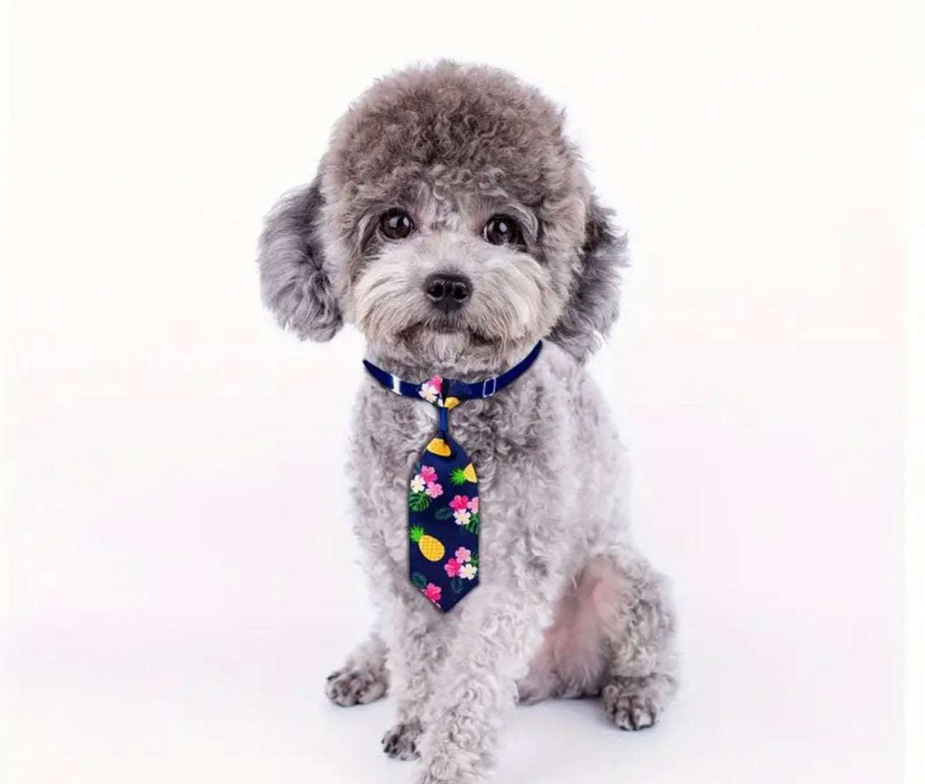 Corbatas para perros pequeños