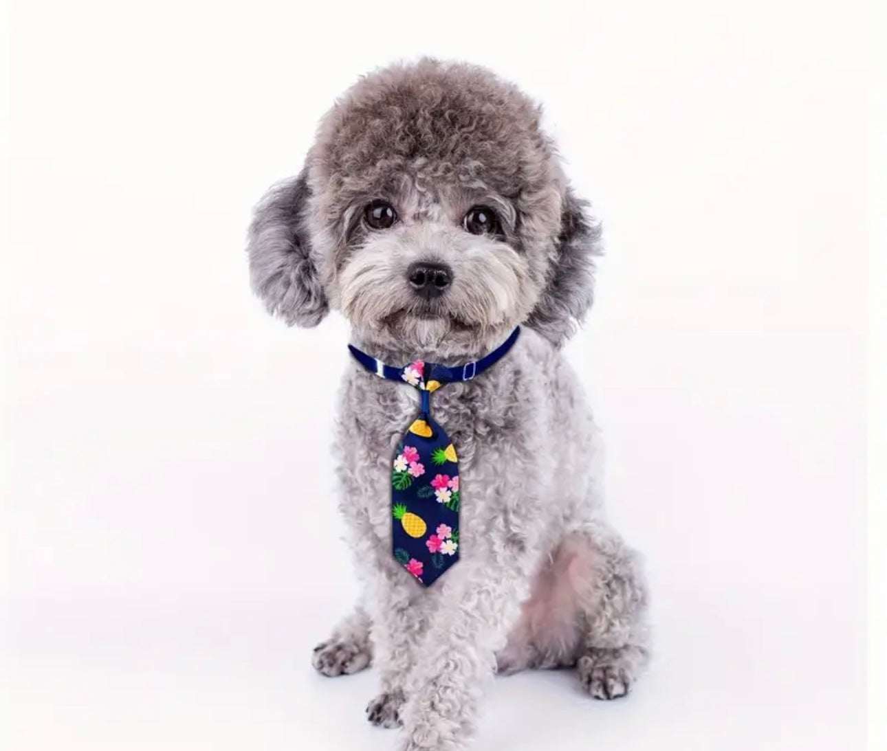 Corbatas para perros pequeños