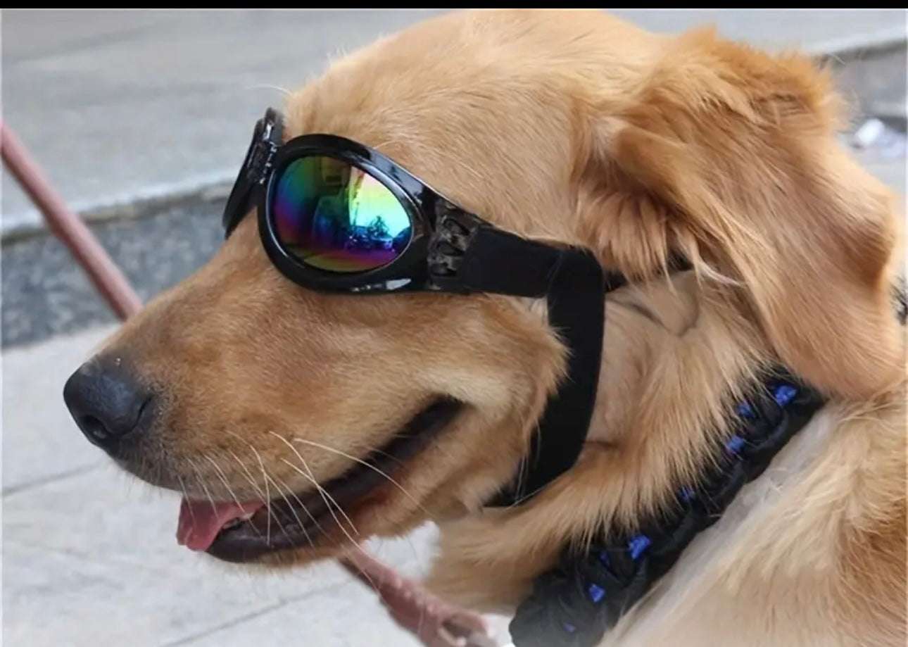 Gafas de Sol para Mascotas