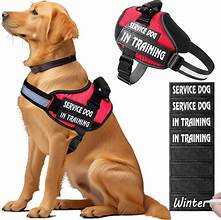 Service Dog Harness