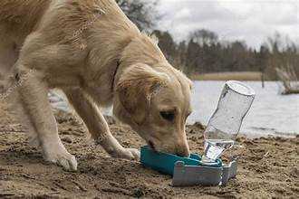 Dispensador de Agua