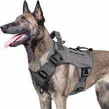 Tactic Big Dog Harness
