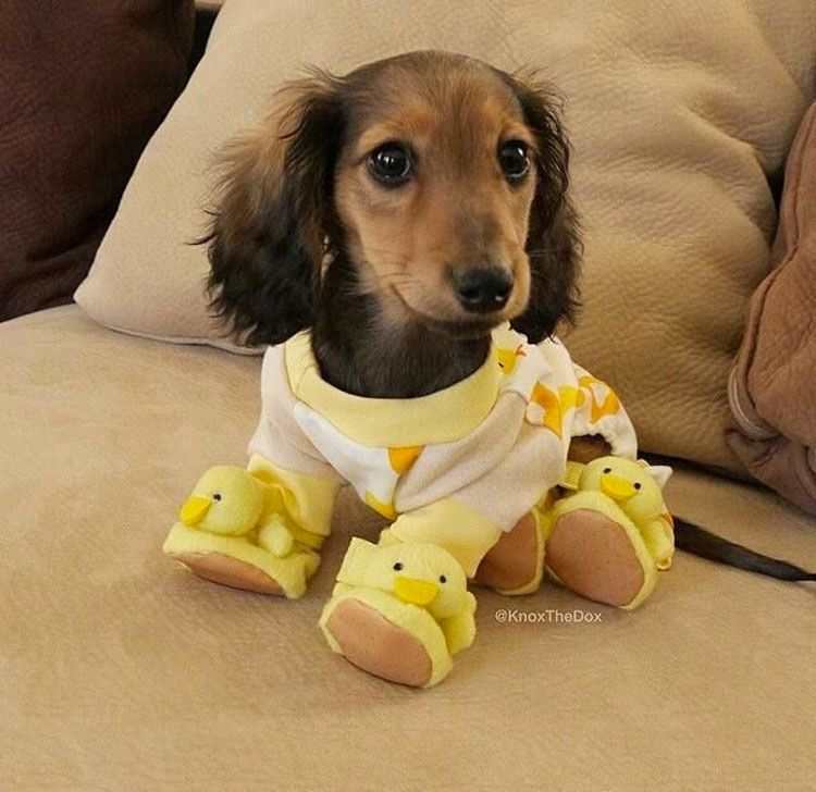 Pijamas Divertidas