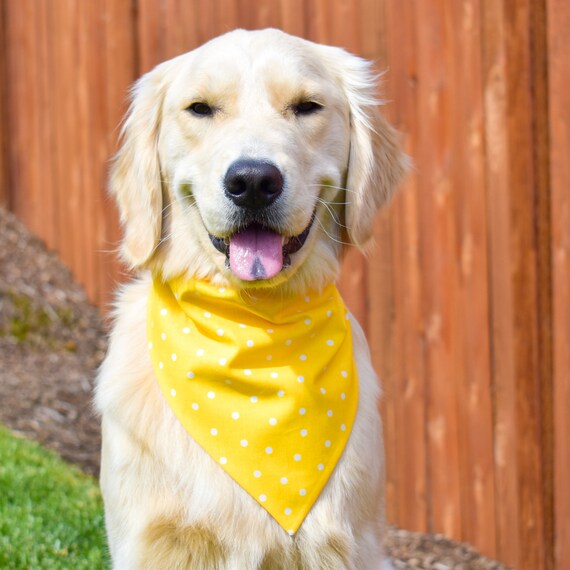 Bandanas