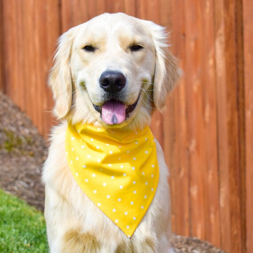 Bandanas